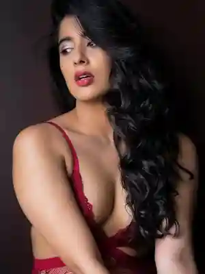 Ludhiana Call Girl Service